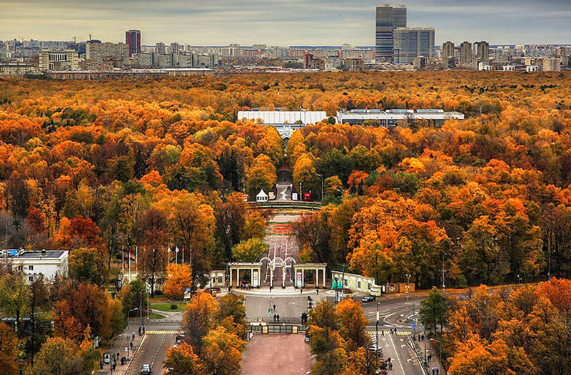 Сокольники